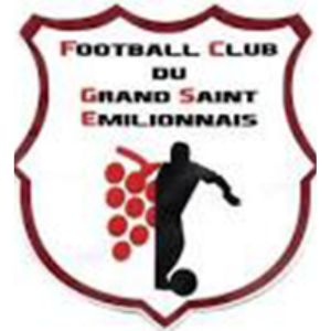 LOGO ST EMILION